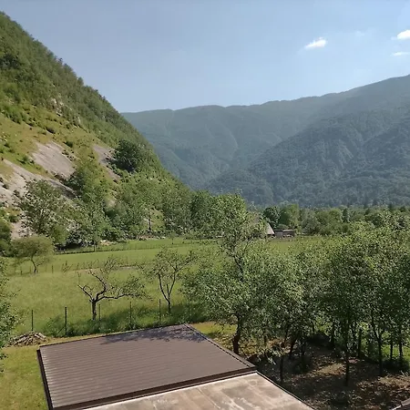 Soca Trails #6 * Log Cezsoski